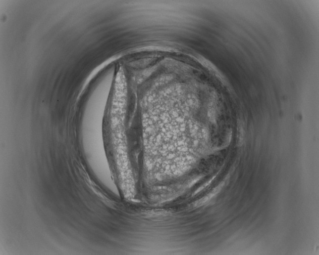 X0000084050830200703161854