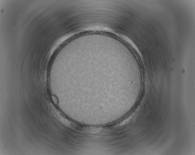 X0000084050831200703161854