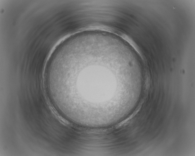 X0000084050832200703161854