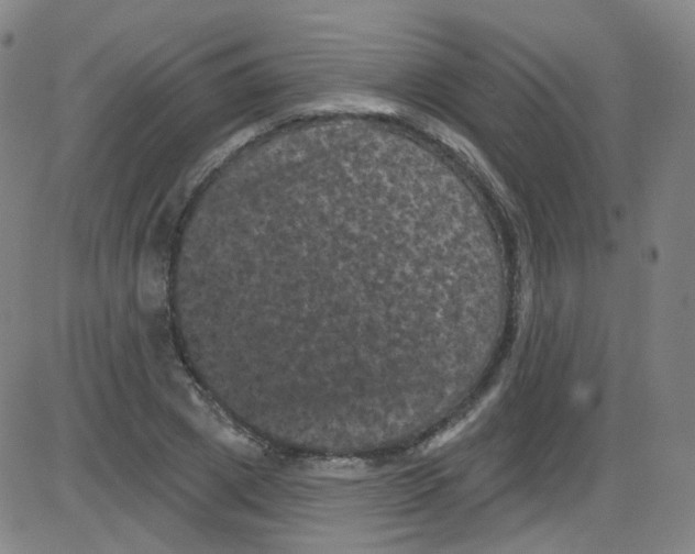 X0000084050833200703161854