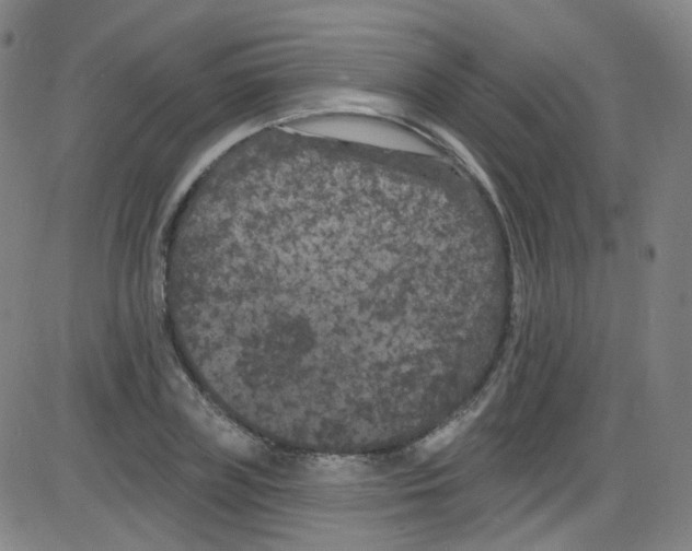 X0000084050835200703161854