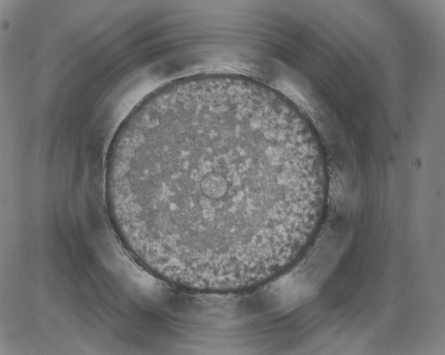 X0000084050836200703161855