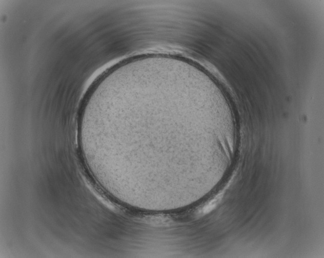 X0000084050838200703161855