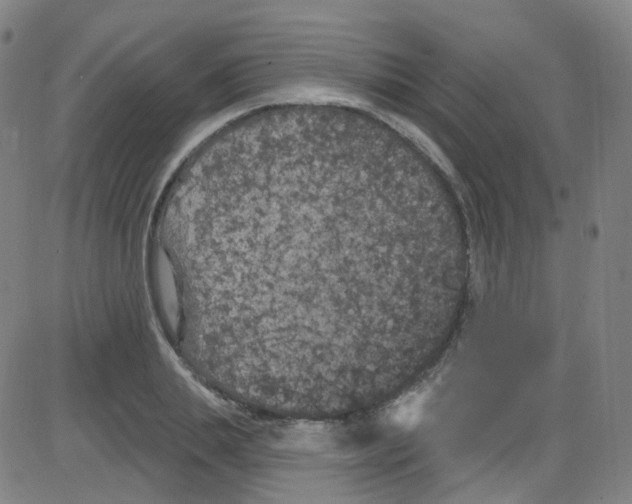 X0000084050839200703161855