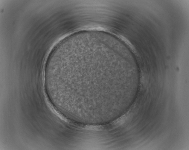 X0000084050840200703161855