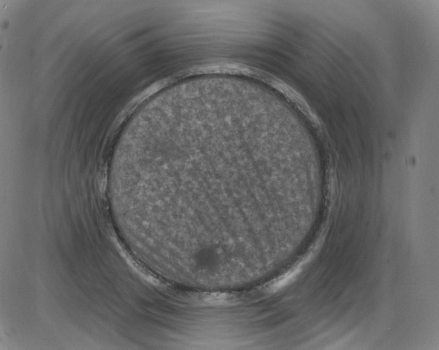 X0000084050841200703161855