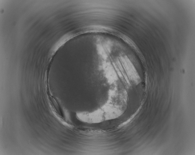 X0000084050842200703161855