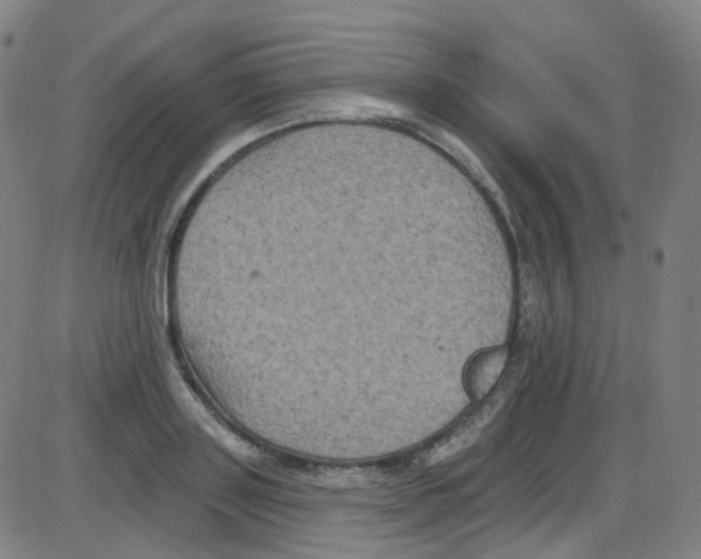 X0000084050843200703161855