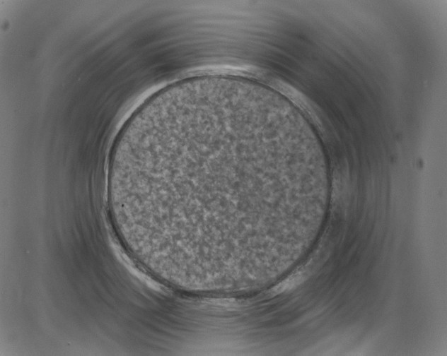 X0000084050844200703161855