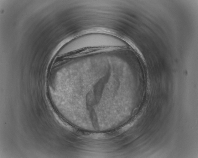 X0000084050845200703161855