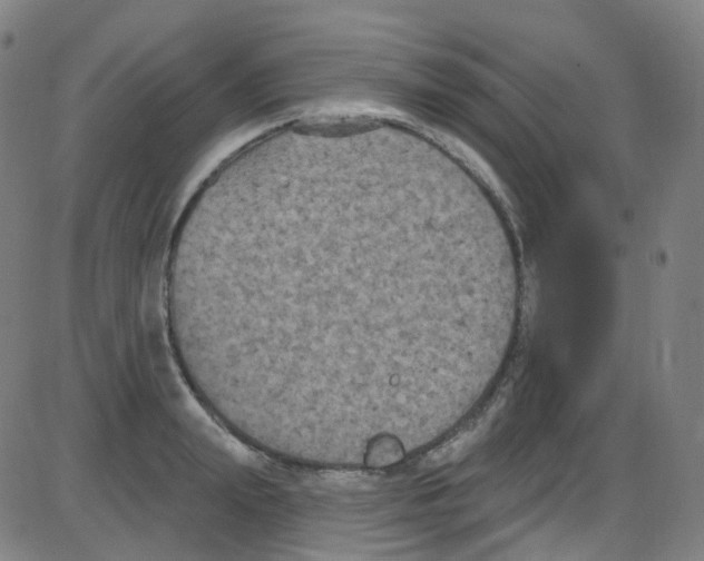 X0000084050847200703161855