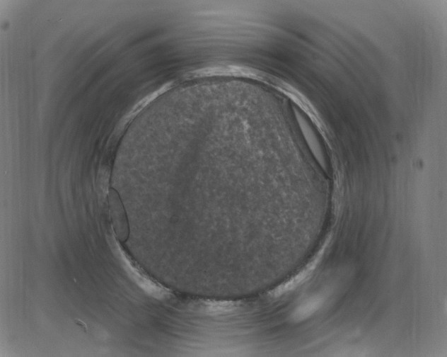 X0000084050849200703161855