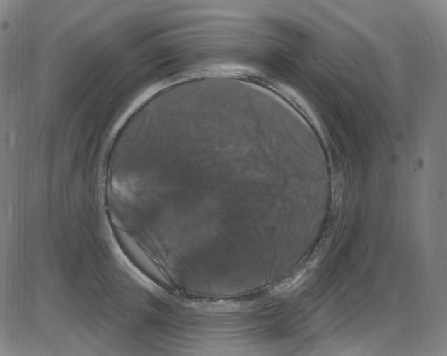 X0000084050851200703161855