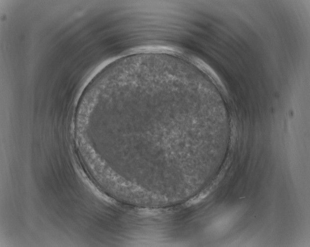 X0000084050852200703161855