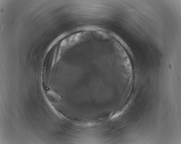 X0000084050853200703161855