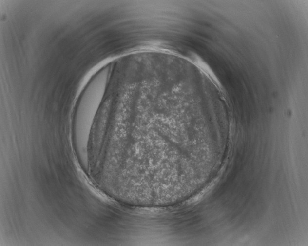 X0000084050854200703161855