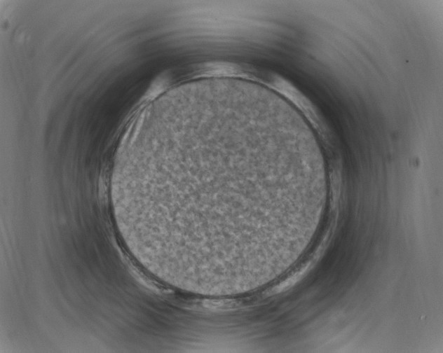 X0000084050857200703161855