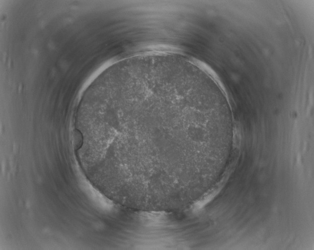 X0000084050859200703161855