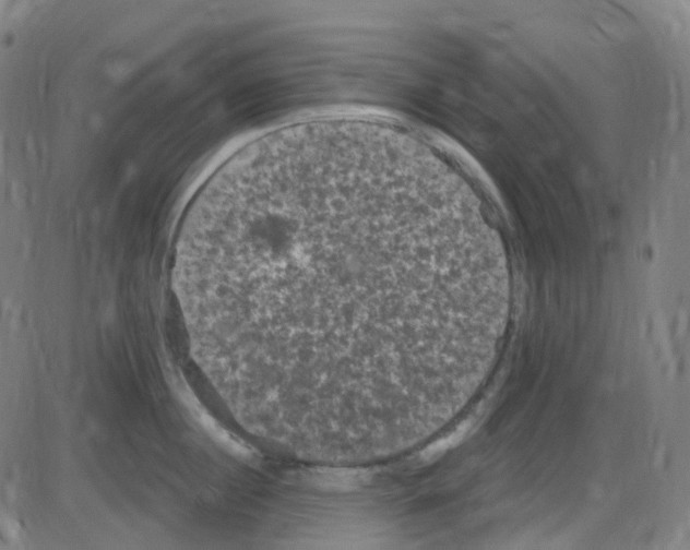 X0000084050860200703161855