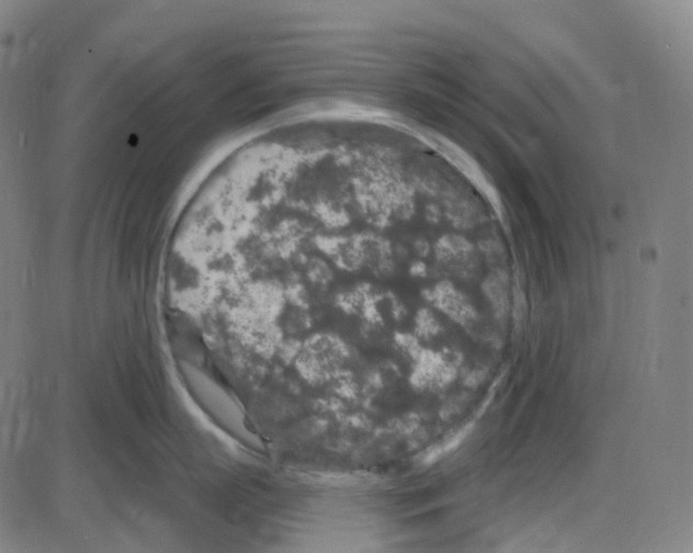 X0000084050863200703161855