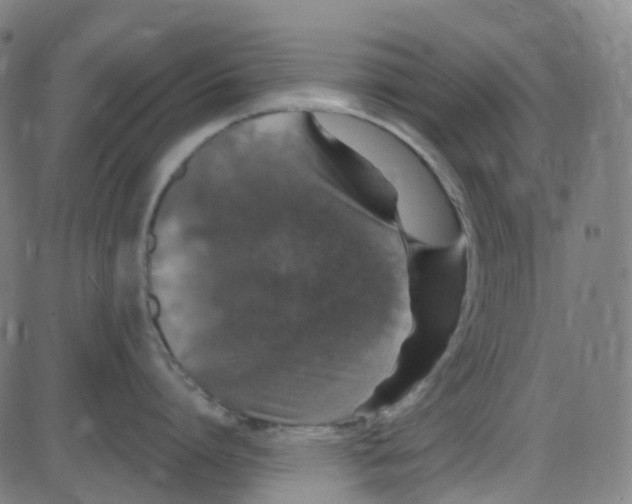 X0000084050864200703161855