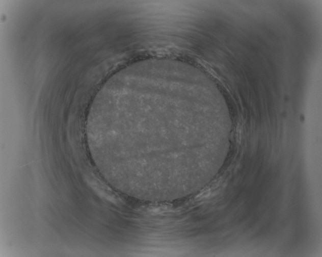 X0000084050865200703161854