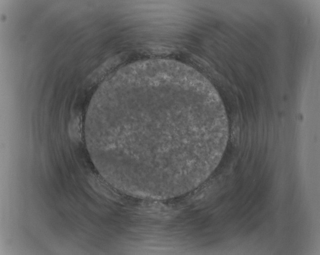 X0000084050866200703161854