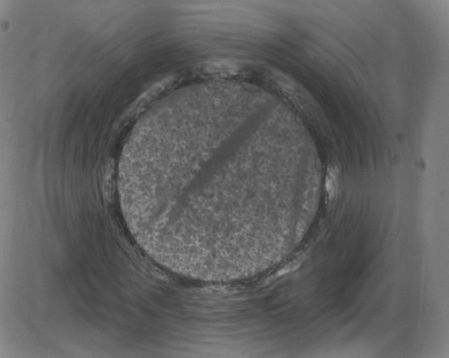 X0000084050867200703161854