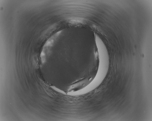 X0000084050868200703161854