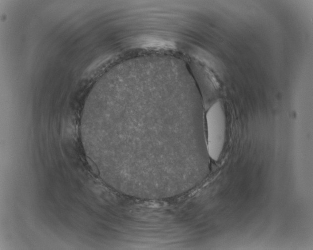 X0000084050869200703161854