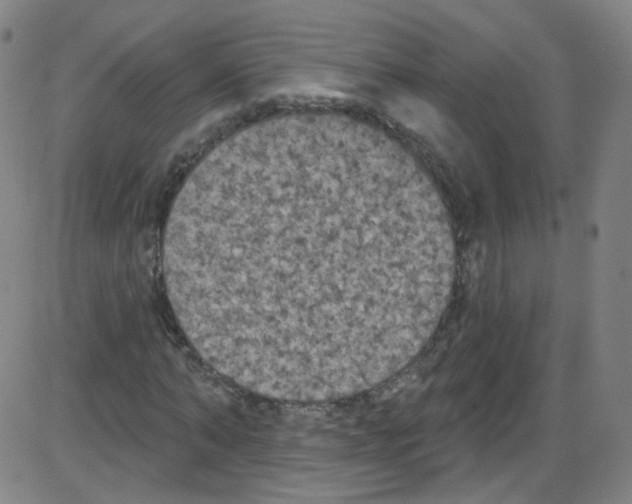 X0000084050870200703161854