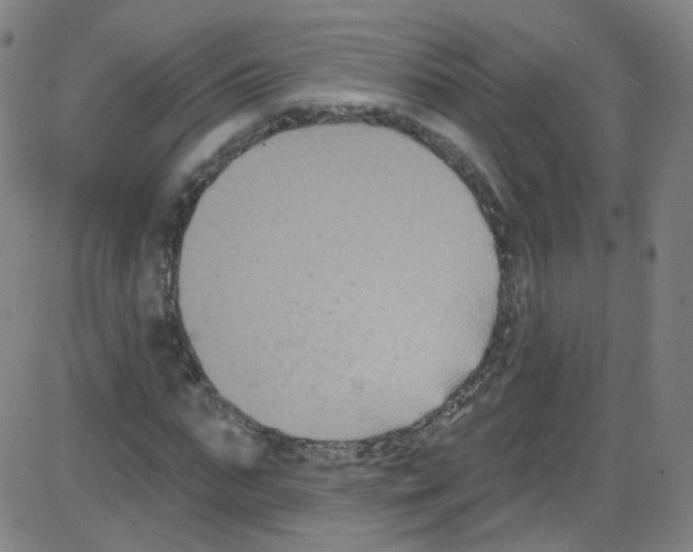 X0000084050871200703161854