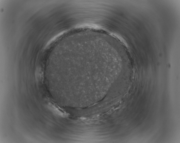 X0000084050872200703161854