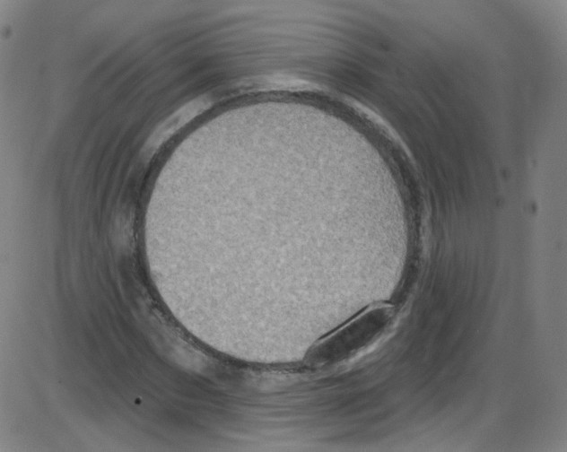 X0000084050873200703161854