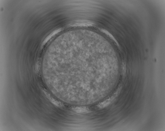 X0000084050874200703161854