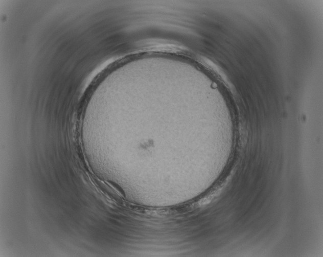 X0000084050875200703161854