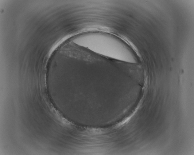 X0000084050877200703161854