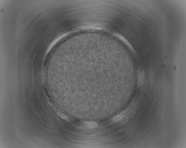 X0000084050878200703161854