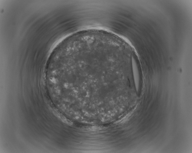 X0000084050879200703161854