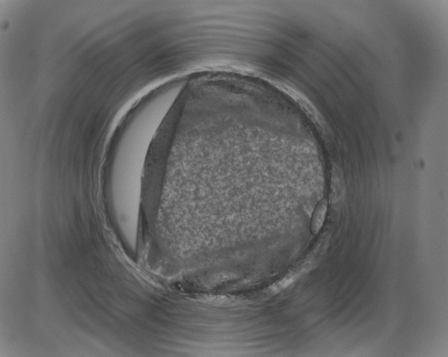 X0000084050880200703161854