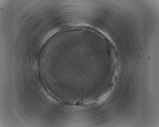 X0000084050881200703161854