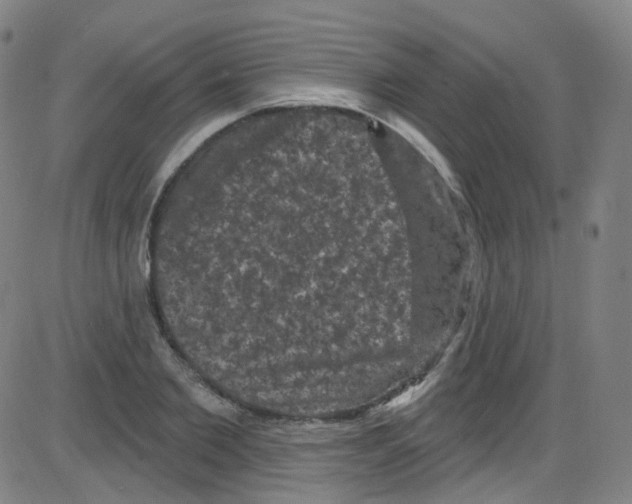 X0000084050885200703161854