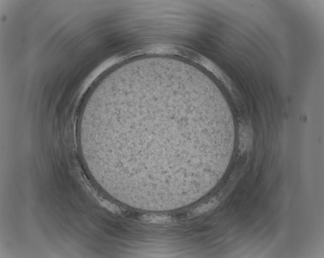 X0000084050886200703161854