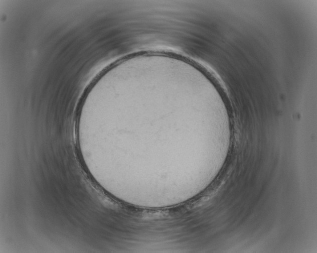 X0000084050887200703161854