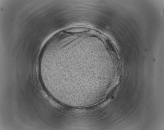 X0000084050888200703161854