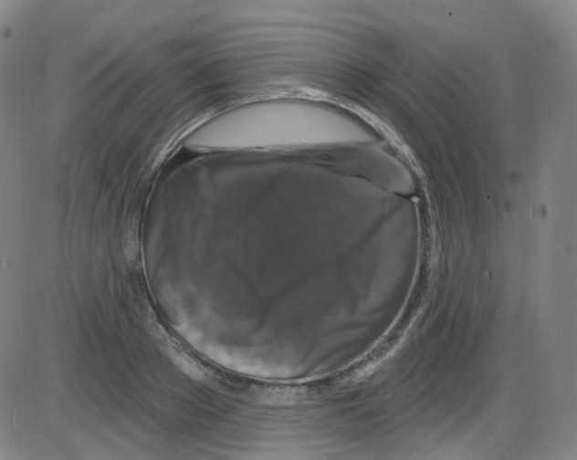 X0000084050889200703161854