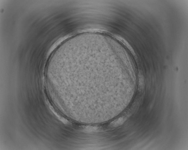 X0000084050890200703161854