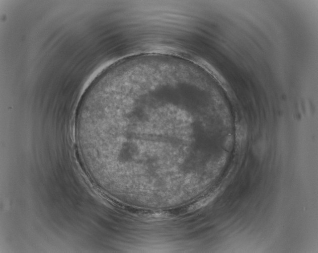 X0000084050891200703161854