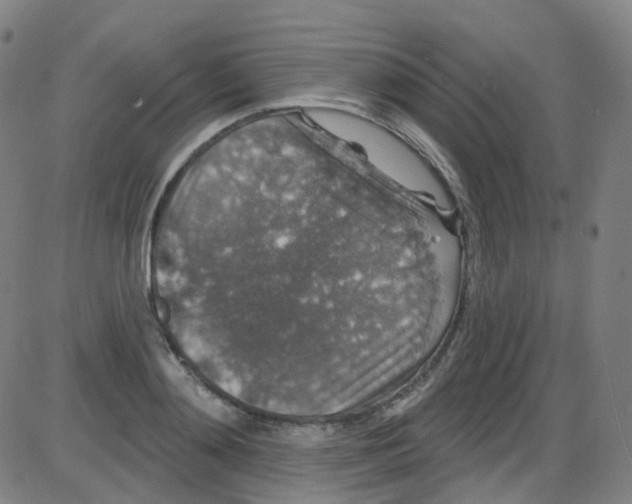 X0000084050892200703161854