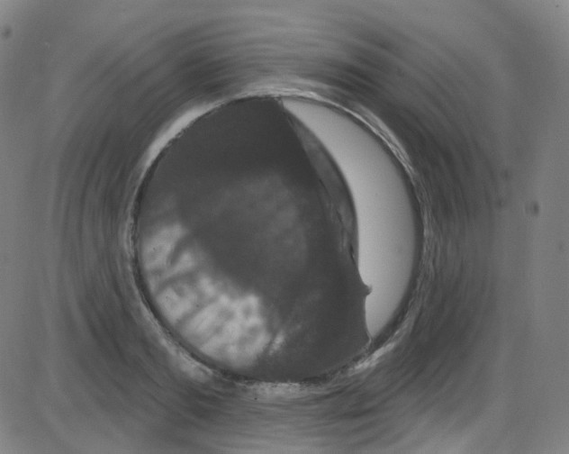 X0000084050893200703161854